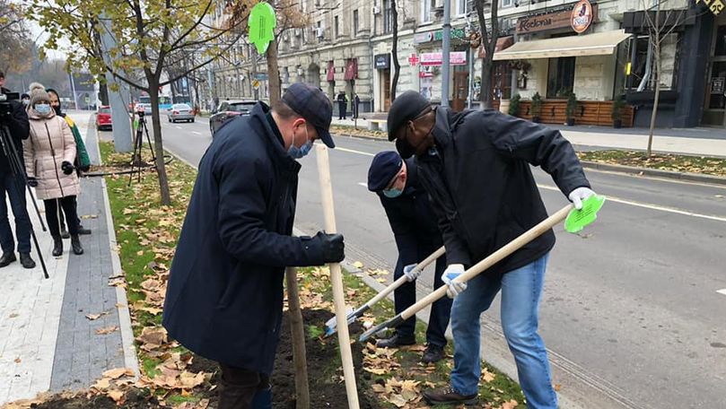 Înverzirea Capitalei: Ambasadorul SUA și Ceban au ieșit la plantat pomi