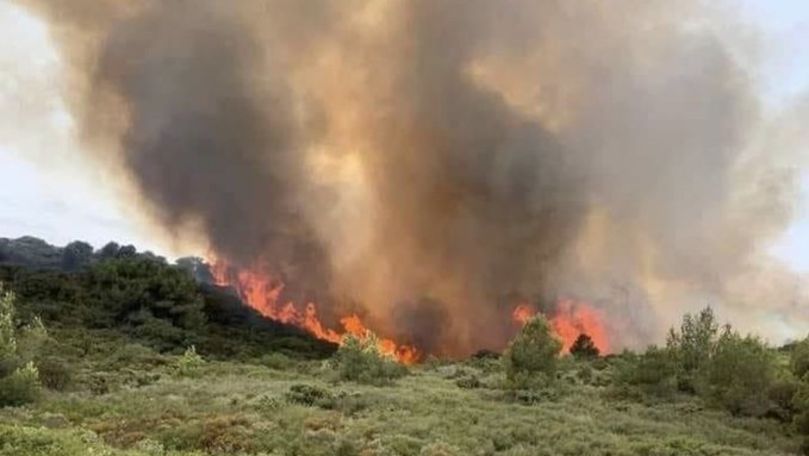 Incendiu puternic de vegetaţie în Franţa. Au ars peste 100 de hectare