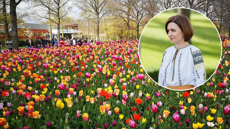 La Grădina Botanică va fi inaugurată Insula Lalelelor, sădită de Sandu