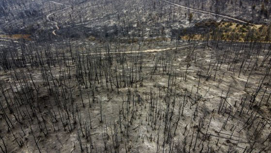Schimbările climatice ar putea devasta estul Mediteranei şi din Orientul Mijlociu