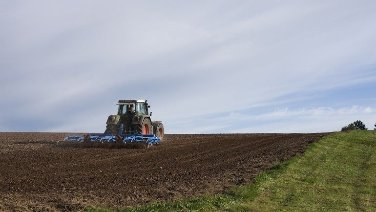 Cetățenii ar putea primi cote de teren agricol: Care sunt condițiile