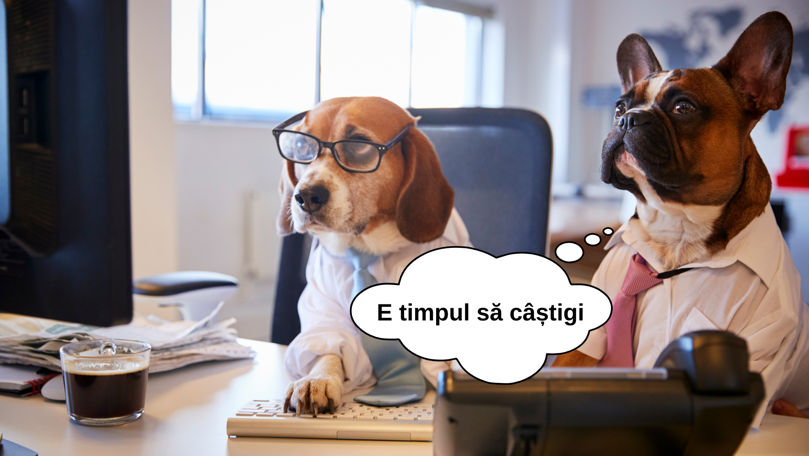iSEO.md: De ce SEO e mai profitabilă decât publicitatea comercială Ⓟ