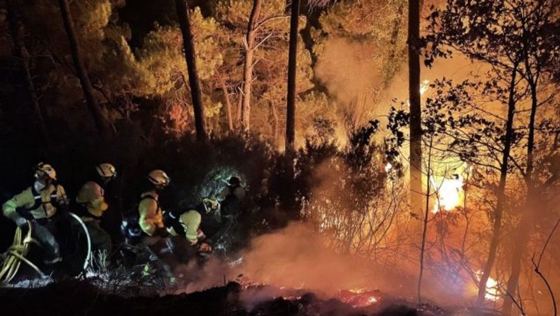 Mii de hectare de pădure din Argentina, distruse în incendii
