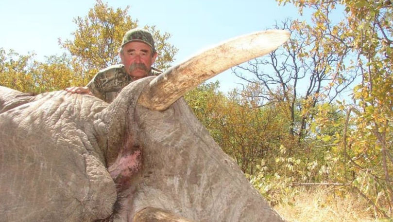 Миллионера из США затоптали слоны на охоте в Африке.