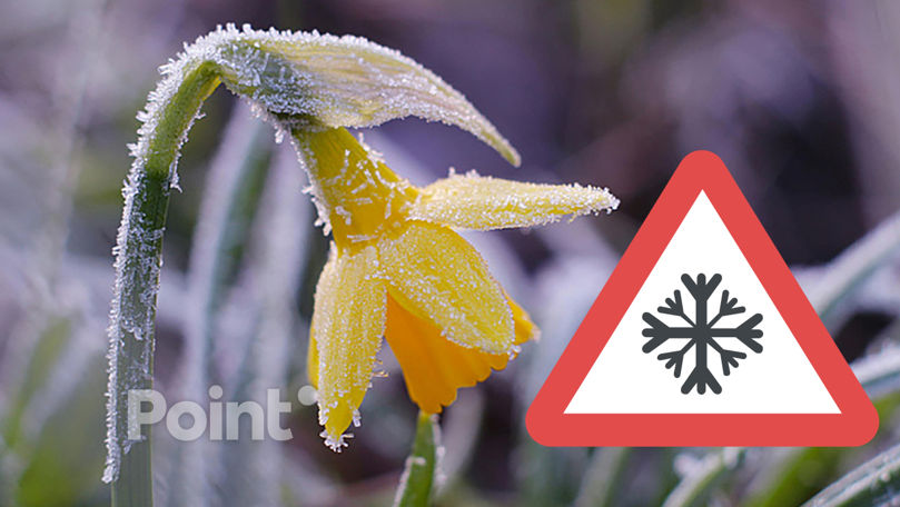 В Молдове объявили желтый код из-за надвигающихся заморозков.