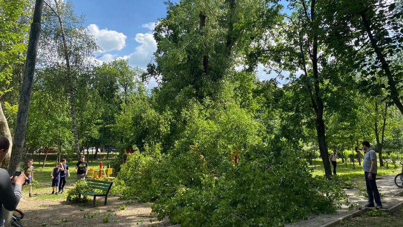Un copac a căzut peste un teren de sport într-un parc din Capitală