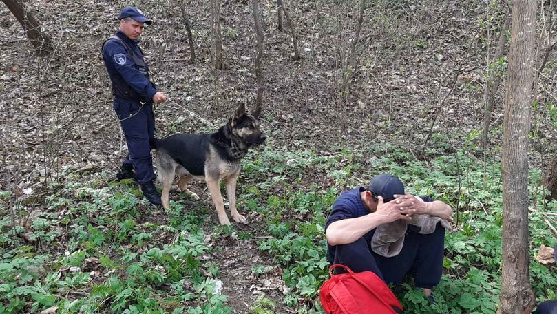 Hoț care se ascundea în pădure la Soroca, găsit de câinele Rex