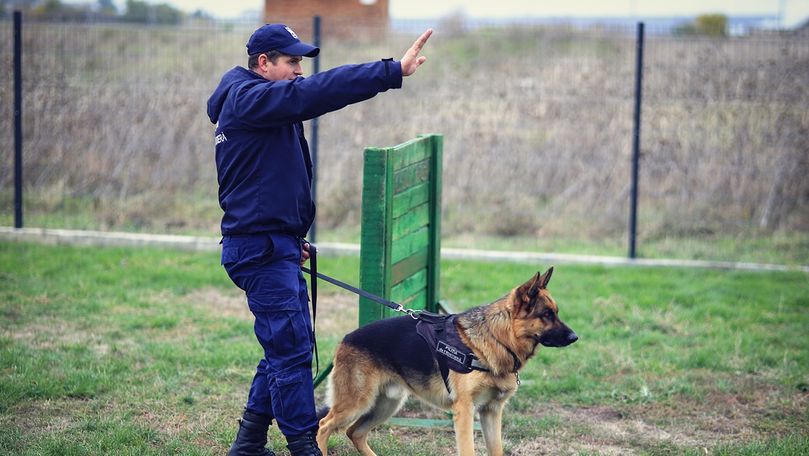 Nici o zi fără încălcări: Nereguli la frontieră în ultimele 24 de ore