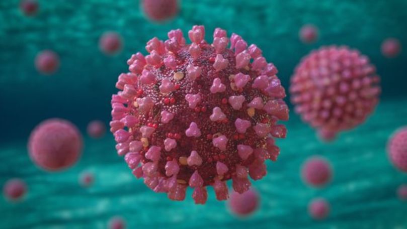 Bilanţ coronavirus în România: 1.556 de oameni sunt în carantină