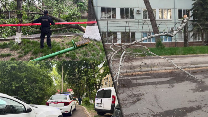 Furtuna a făcut ravagii la Bălți: Arbori prăbușiți și cabluri rupte