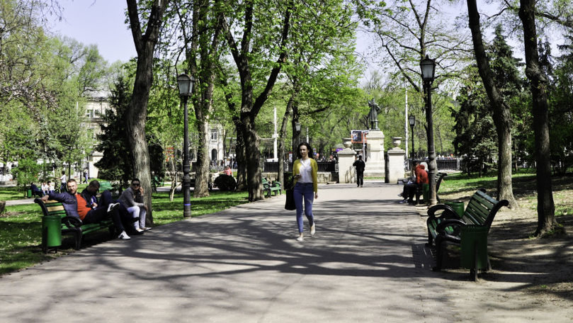Grădina Publică din Chișinău se va transforma în bibliotecă în aer liber