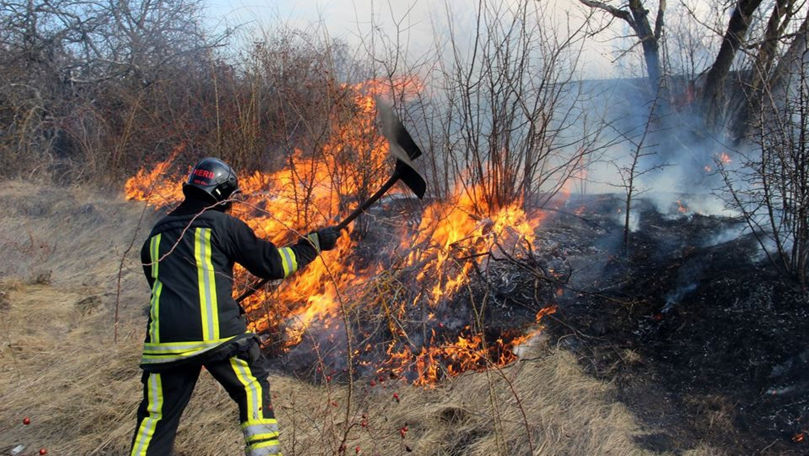 Peste 2.600 hectare de teren, compromise de arderea vegetației în 2024