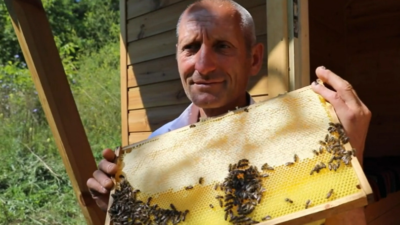 Terapia cu zumzet de albine: Afacerea unui apicultor din Sângerei