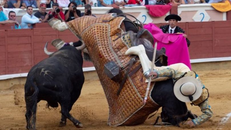 Spania: 19 răniţi după ce un taur a sărit din arenă în tribune