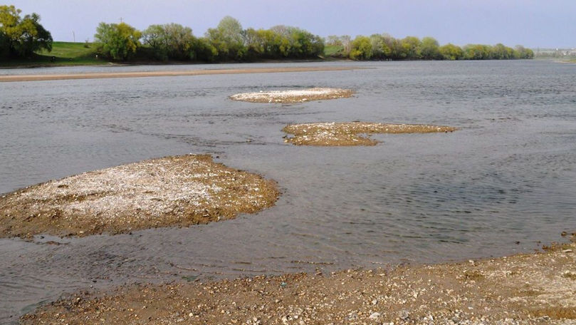 Продлен желтый уровень опасности из-за низкого уровня воды в Днестре и Пруте.