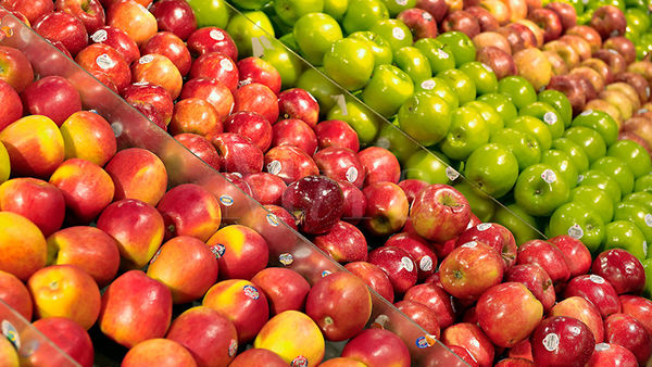 Fructele moldovenești, tot mai solicitate pe piața internațională