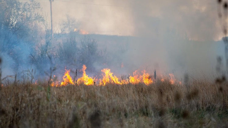 Regim special de prevenire a incendiilor, instituit în Transnistria