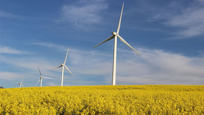 Energia regenerabilă a devenit principala sursă de electricitate