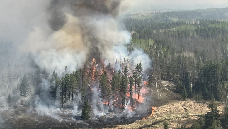 Incendiile de vegetație din Canada: Peste 17.000 de persoane, evacuate