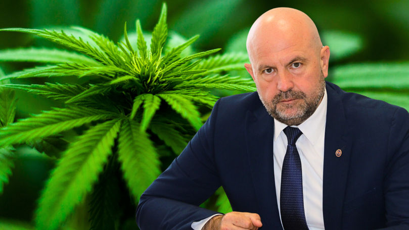 Vladimir Bolea: Ministerul susține cultivarea cânepii industriale