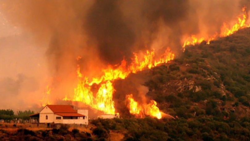 Incendii în Rusia: Peste 9.000 ha de vegetaţie, distruse de flăcări