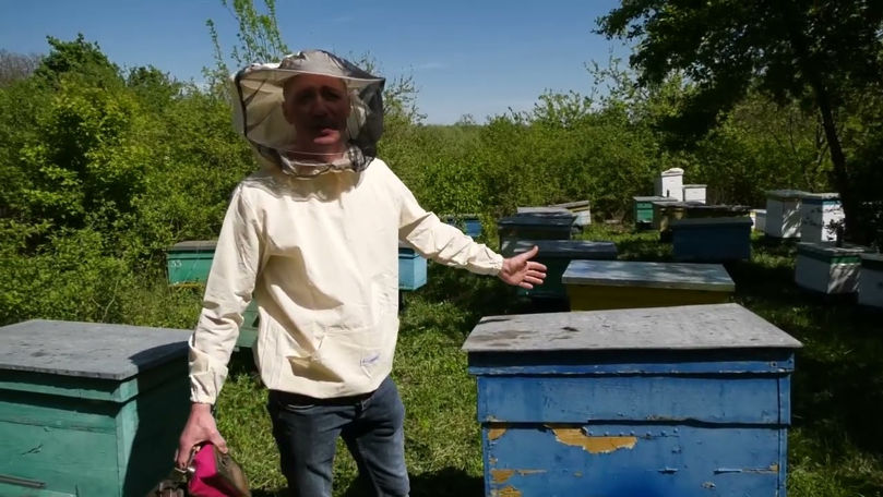 Povestea unui tânăr care și-a făcut un regat al mierii cu ajutorul UE