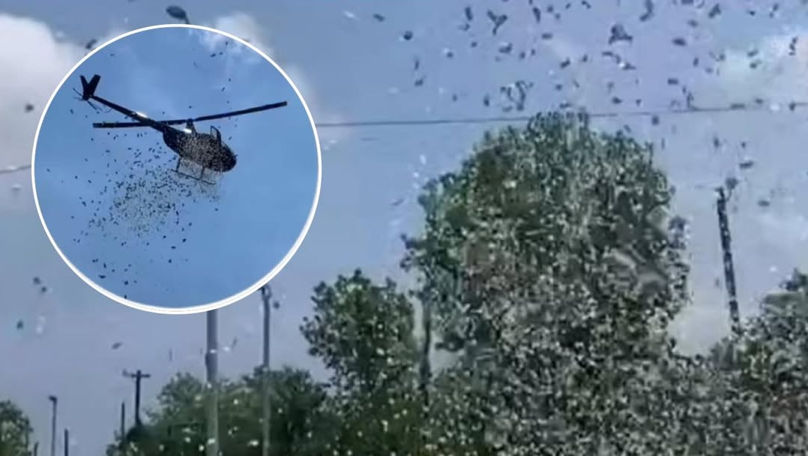 A plouat cu bani în Detroit: Sute de dolari, aruncați dintr-un elicopter