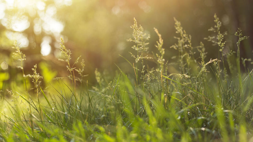 Meteo 7 septembrie 2021: Cer variabil și temperaturi de până la +23°C