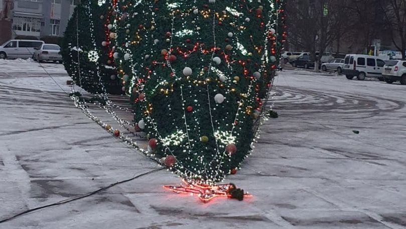 Pomul de Crăciun din Briceni, doborât la pământ de vântul puternic