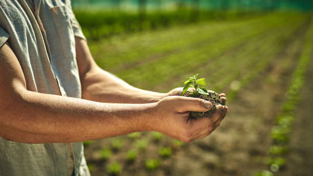 Lista produselor permise în producția ecologică va fi aprobată de MAIA