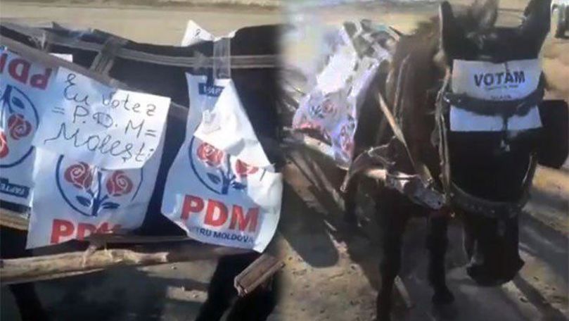 В Яловенском районе за ДПМ агитировал конь.