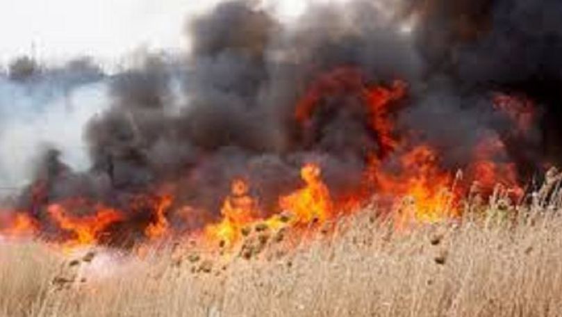Trei hectare de vegetație au fost mistuite de flăcări la Bălți