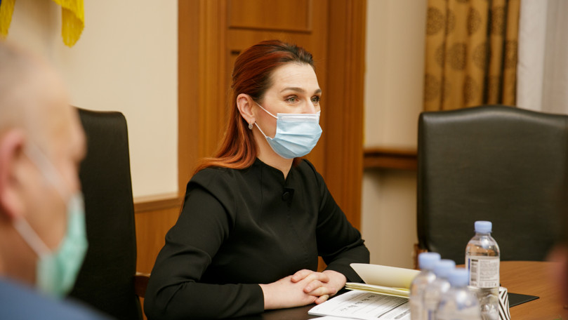 Șefa MAI, ședință cu delegații ambasadelor UE, SUA și Marii Britanii