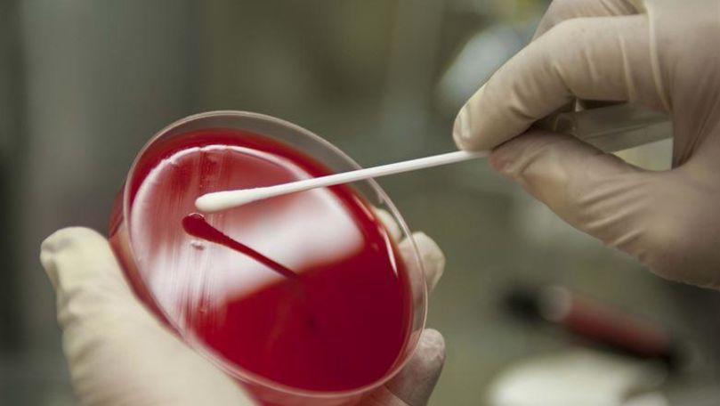 Italia: 40% dintre cetățenii infectați ai unui oraș nu au avut simptome