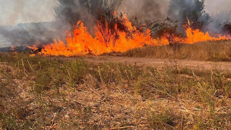 Un incendiu în satul Chițcani a afectat peste zece hectare de vegetație