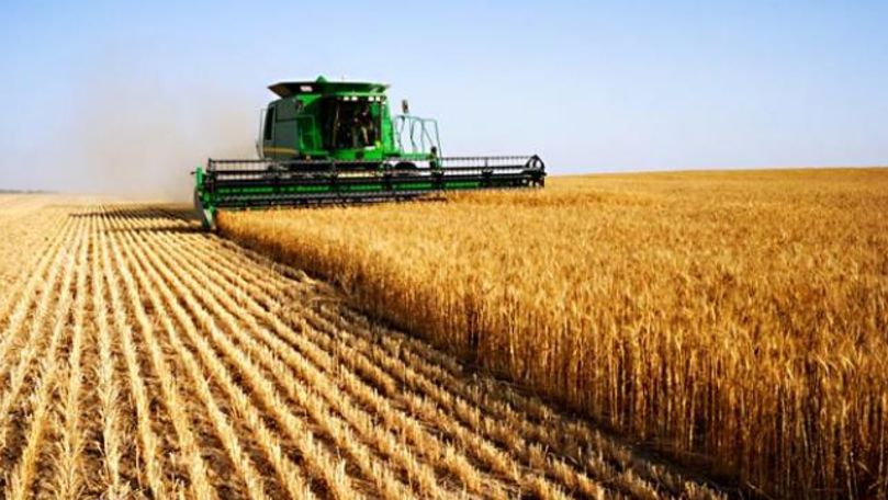 BNS: Producția agricolă în Moldova s-a redus în primul trimestru
