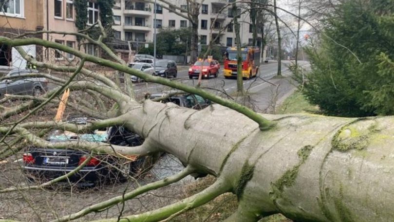 Furtună în Germania: O persoană decedată și copaci prăbușiți