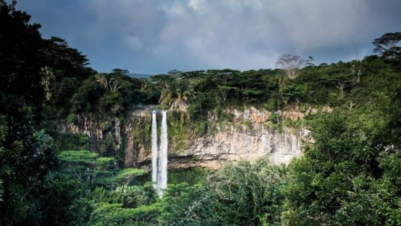 Africa: Alertele prin satelit, utile contra tăierilor ilegale de păduri