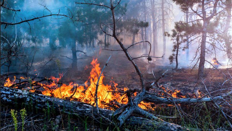 Alertă de călătorie pentru Spania: Se anunță incendii de vegetație