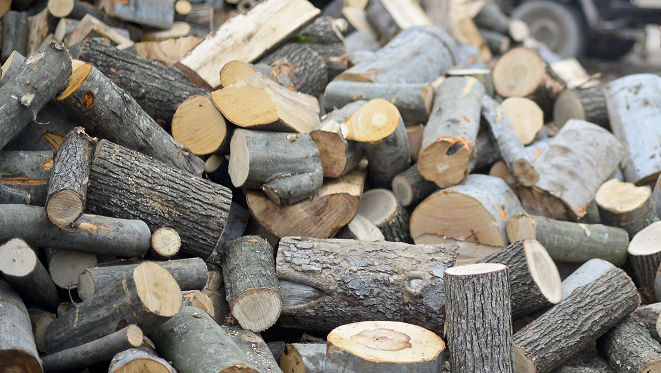Guvernul alocă subvenții: Câte lemne sunt în stocurile Moldsilva