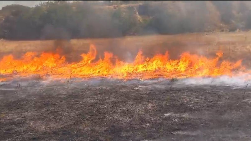 Incendiu de vegetație la Slobozia: Au intervenit 2 echipaje de pompieri