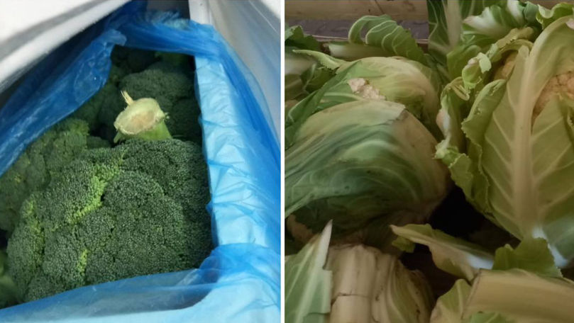 Un surplus de circa 900 kg de broccoli și conopidă, depistat de vameși