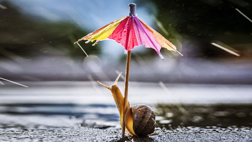 Жаркий и дождливый день ожидает в четверг жителей Молдовы.