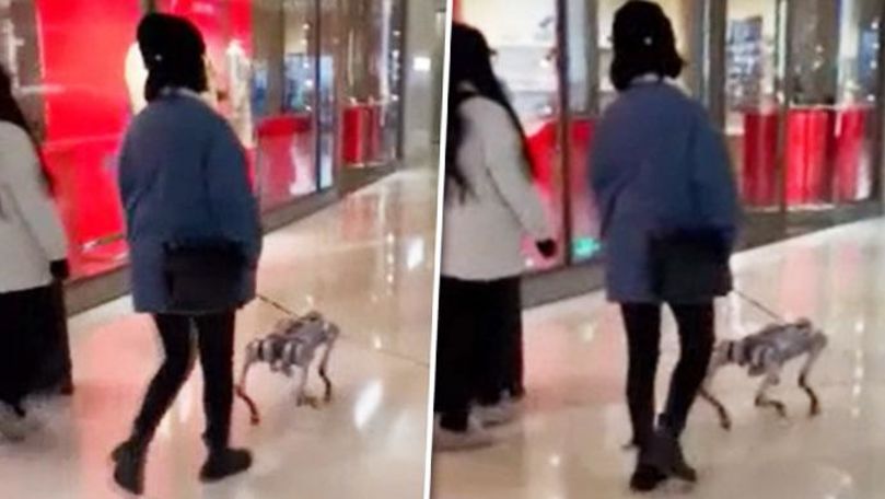 O femeie, filmată cum se plimbă cu câinele-robot în lesă într-un mall