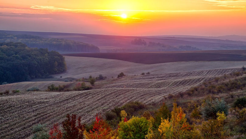 Летняя погода в Молдове сохранится до конца недели.