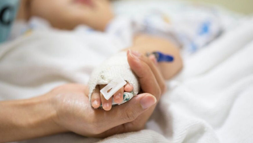 Ребенок, на которого упало дерево в Кишиневском зоопарке, находится в реанимации.