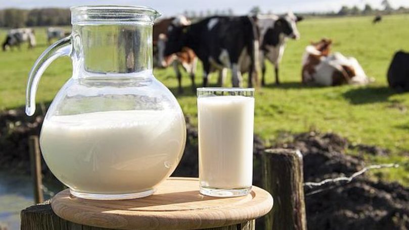 Fermier: Cum a ajuns laptele din Moldova să fie mai ieftin ca apa