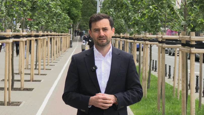 Viceprimarul Capitalei, după criticile din online: Plantăm, nu defrișăm