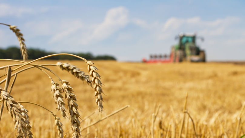 Иностранные инвесторы не спешат вкладывать в сельское хозяйство Молдовы.