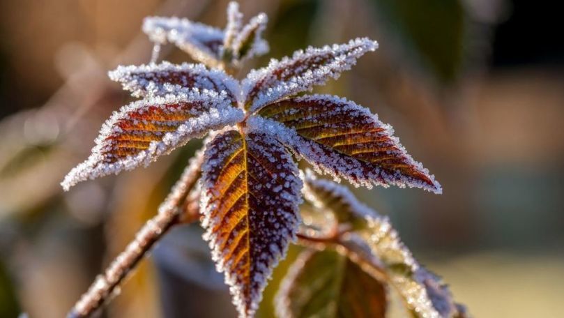 Meteo 19 noiembrie: Temperaturile scad. Când vor cădea primii fulgi